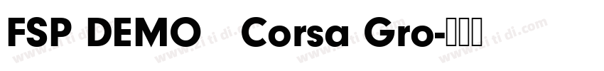 FSP DEMO   Corsa Gro字体转换